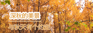 首页风向标1