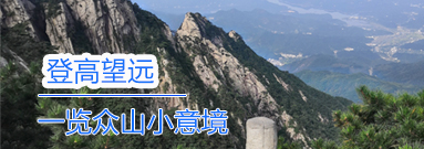 首页风向标2